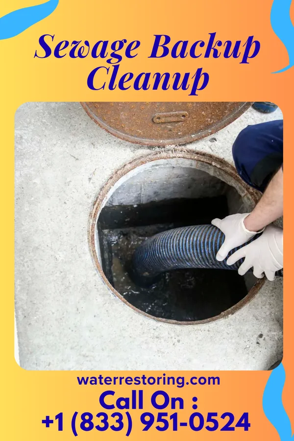 Sewage Backup Cleanup in Middlebury, IN